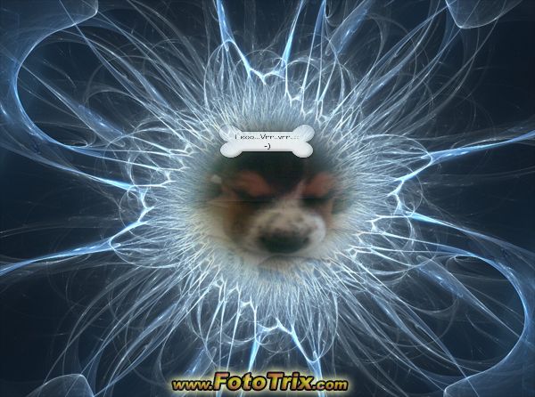 LejQo